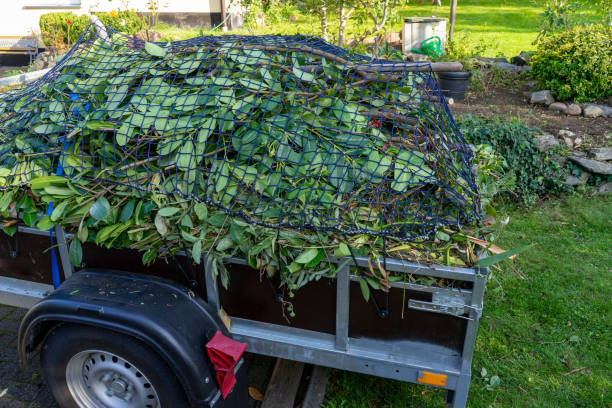 Best Estate Cleanout  in Limestone, IL